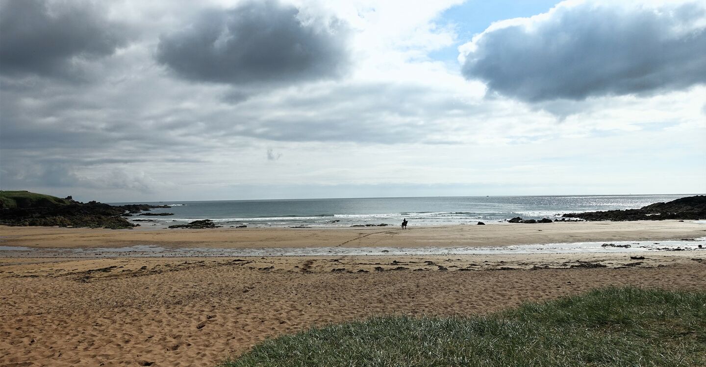 WSCH 1058 1 Coldingham Sands