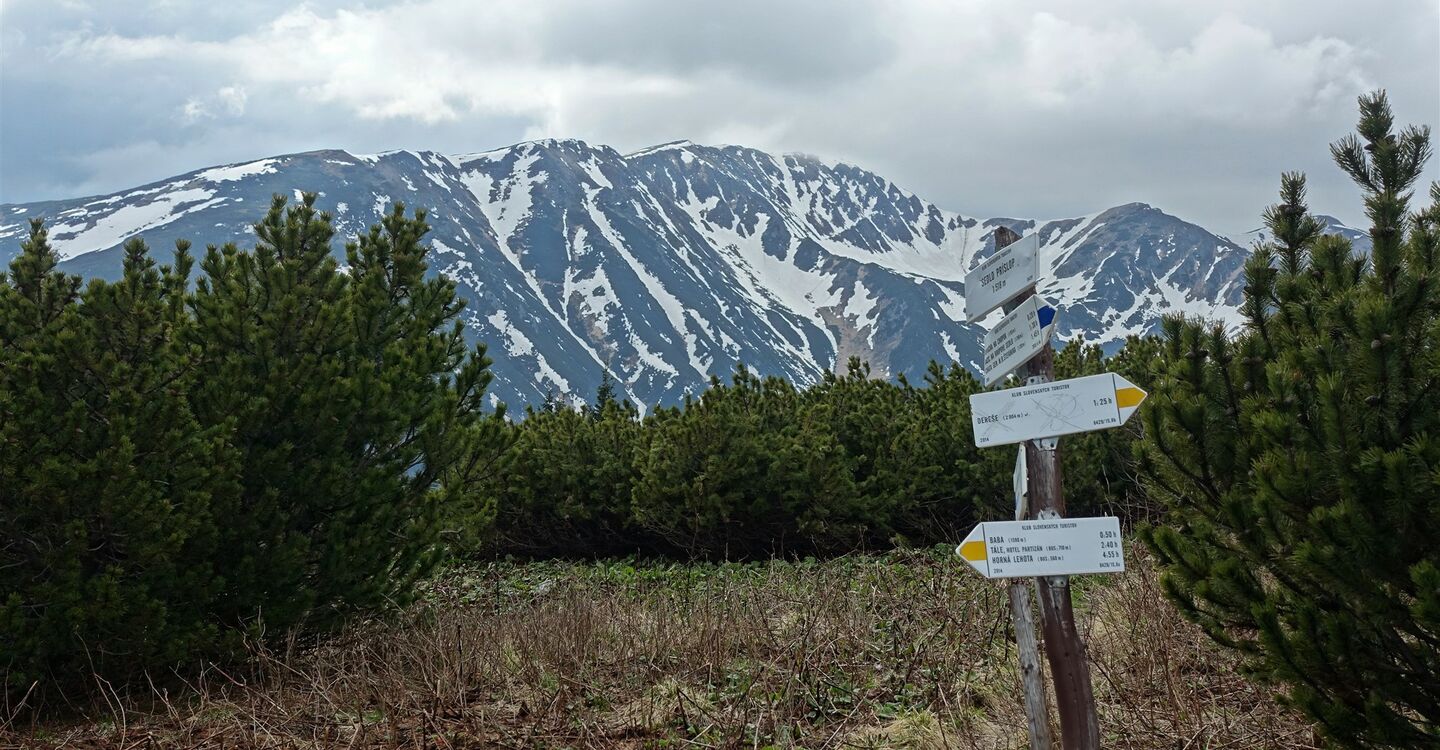 WTA 1004 3 Von der Einsattelung Sedlo Prislop schaut man auf das Bergmassiv mit dem 1980 m hohen Berg Skalka