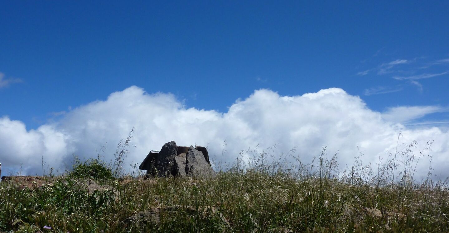 WLG 1034 3 Alto de Garajonay