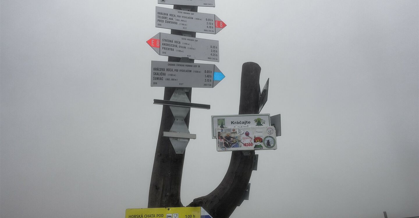 WTA 1025 4 Bei extrem schlechter Sicht kann man gerade mal die Wegweiser auf dem Kralova hola (1946 m) erkennen