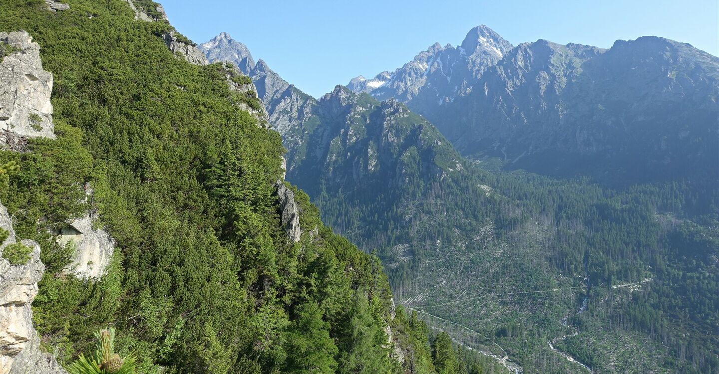 WTA 1051 3 Aussichtspunkt am Slavkovská výhliadka (1550 m)